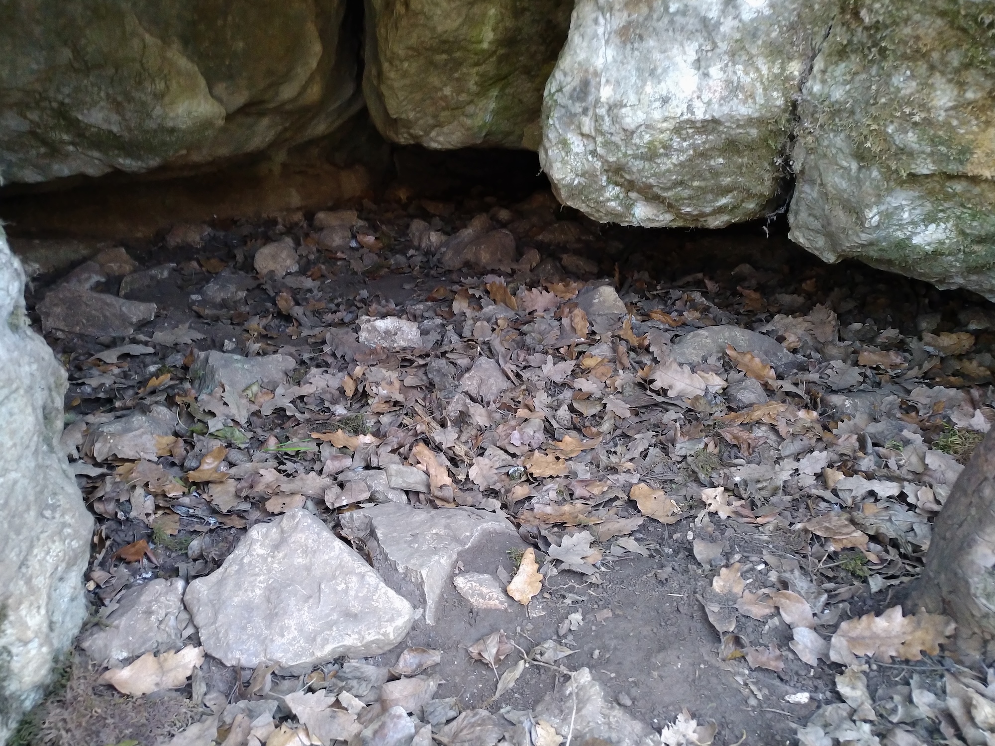 Peștera Limaxului - Image 4